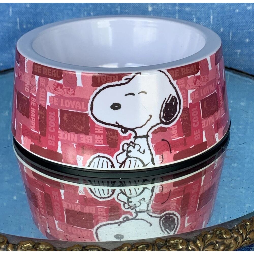 VINTAGE Charlie Brown Charles Schultz PEANUTS SNOOPY Dog Cat Water Food Bowl NEW